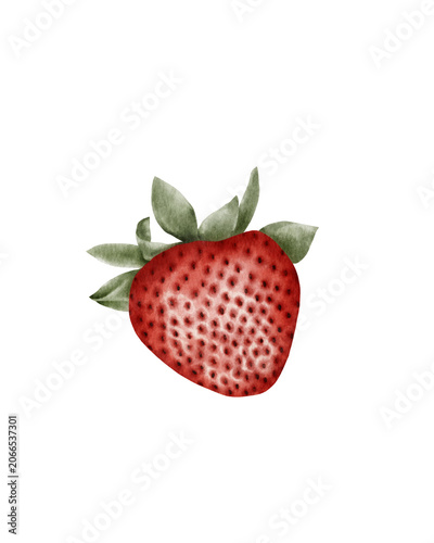 Hand painted watercolor strawberry isolated. for packaging design, food branding, labels, menus, recipe books, kitchen decor, stationery, and organic product marketing.