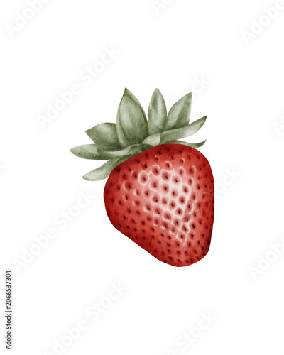 Hand painted watercolor strawberry isolated. for packaging design, food branding, labels, menus, recipe books, kitchen decor, stationery, and organic product marketing.