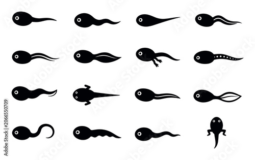 Black tadpole silhouettes showing different growth stages of frog larvae development in a set of vector icons representing aquatic life cycle phases
