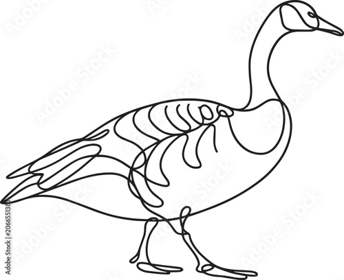 Walking Waterfowl Bird Illustration Isolated on White Background