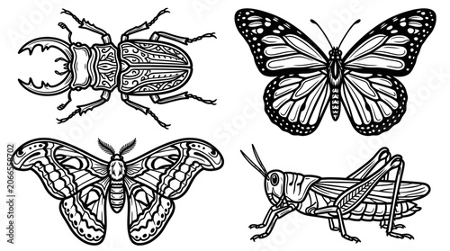 Vintage Insect Illustrations: Stag Beetle, Butterfly, Moth, Grasshopper