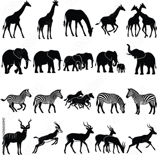 Photography African safari animal silhouettes set, black elephant and giraffe vector icons,