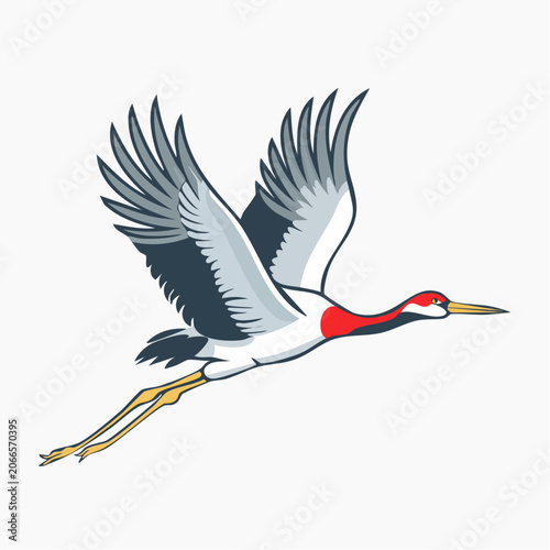 Red-crowned Crane in Flight