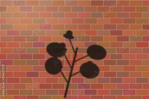 Illuminated Shadows of the City – Plant Shadow on Brick Wall