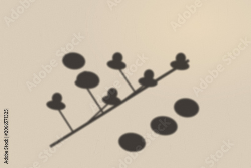 Illuminated Shadows of the City – Leaf Silhouette on Textured Wall