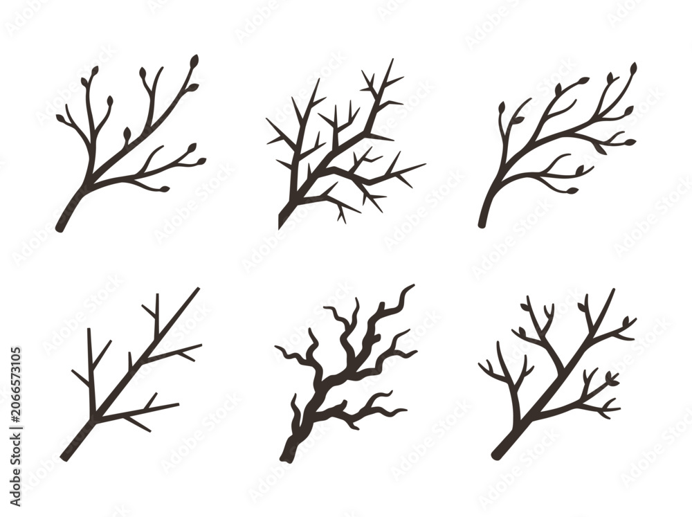Obraz premium A collection of six bare tree branches with no leaves on a white background.
