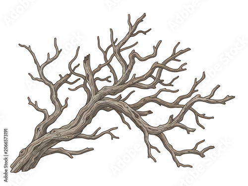 Foto A large dead tree branch sprawls across the scene.