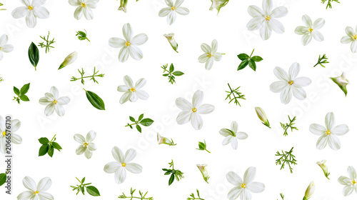 Fotografía White Jasmine Flowers and Green Leaves Scattered Pattern