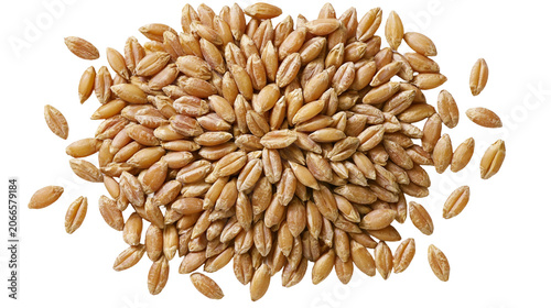 Obraz na płótnie Pile of whole wheat grains close-up