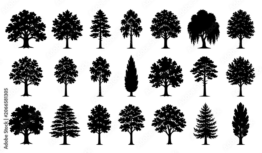 Fototapeta premium Nature Tree Silhouette Pack with Black Leafy Trees for Environmental Vector Illustrations