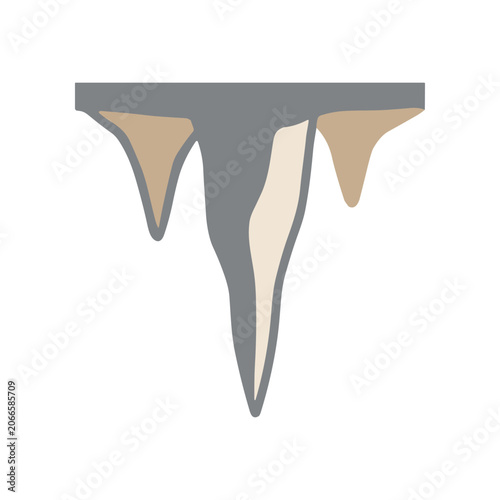 Dental molar tooth root structure.