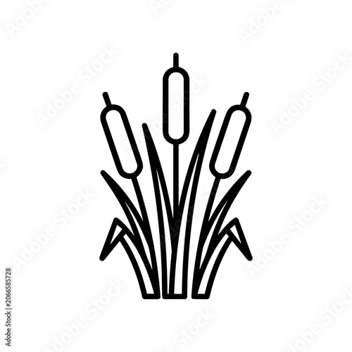 Black line drawing of cattails plant.