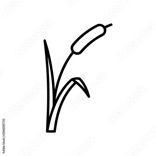 Simple line drawing of cattail plant.
