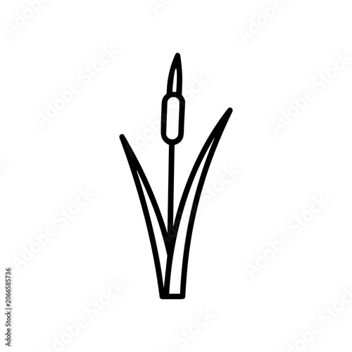 Black line drawing of cattail plant.