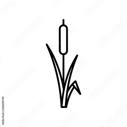 Black and white cattail plant drawing.