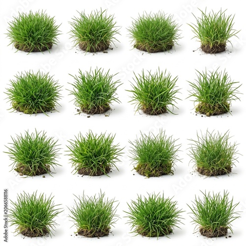 Premium Botanical Grass Pack – Realistic 3D Green Plant Collection