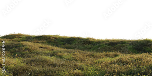 Grass hill terrain with wild grass isolated on transparent background. 3D rendering