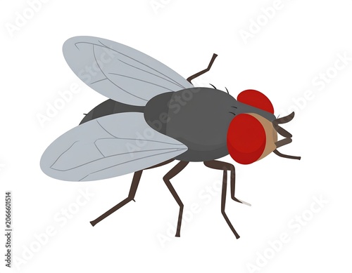 A cartoon illustration of a fly with large red eyes and gray wings