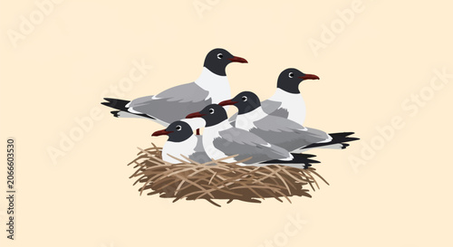 Detailed flat vector illustration of a group of five laughing gulls or black-headed gulls huddled together in a straw bird nest, showing black hoods, red beaks, and gray and white feathers.