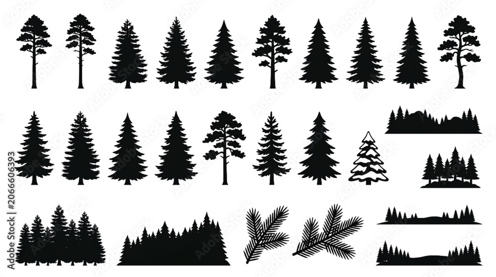 Fototapeta premium Diverse Pine Tree Silhouettes Collection Evergreen Forest Icons Nature Elements Set Black Vector Graphics