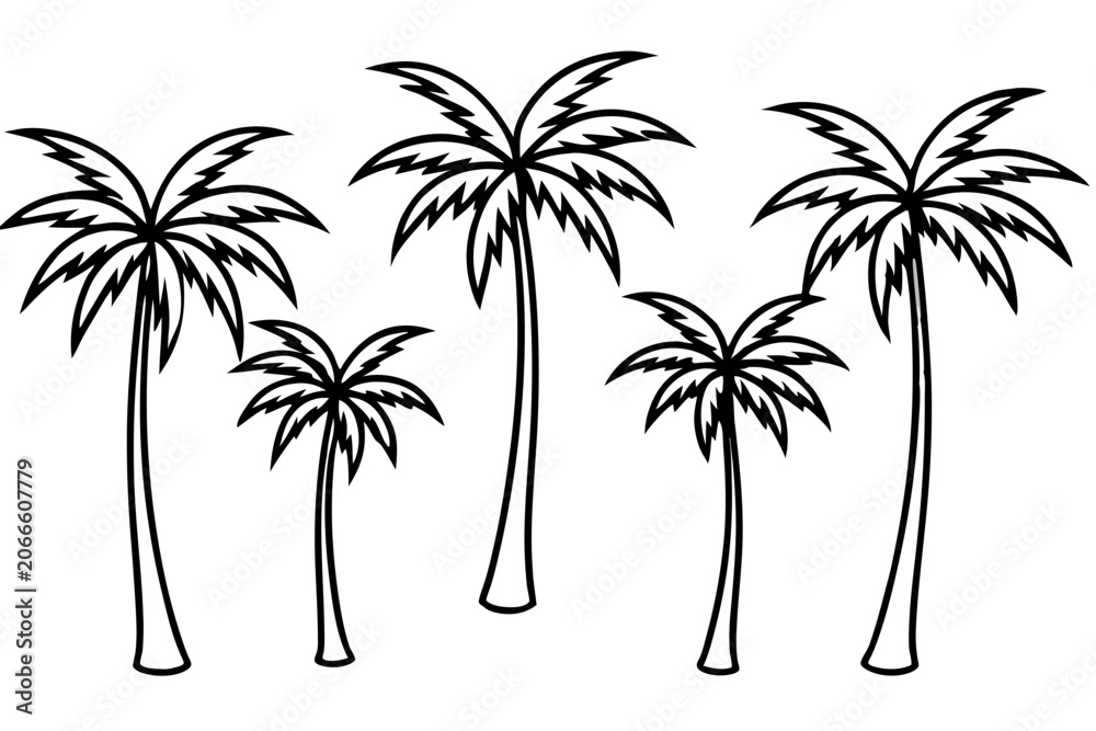 Fototapeta premium Elegant Palm Tree Outline Illustration
