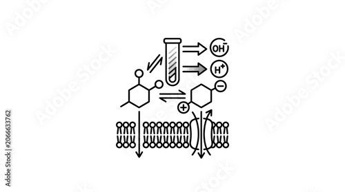 Cuadro en lienzo Molecular structure and biological membrane diffusion illustration