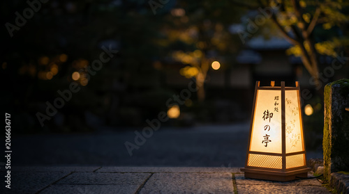 Traditional Japanese Andon Lantern Glowing Softly in a Garden at Night with Copy Space