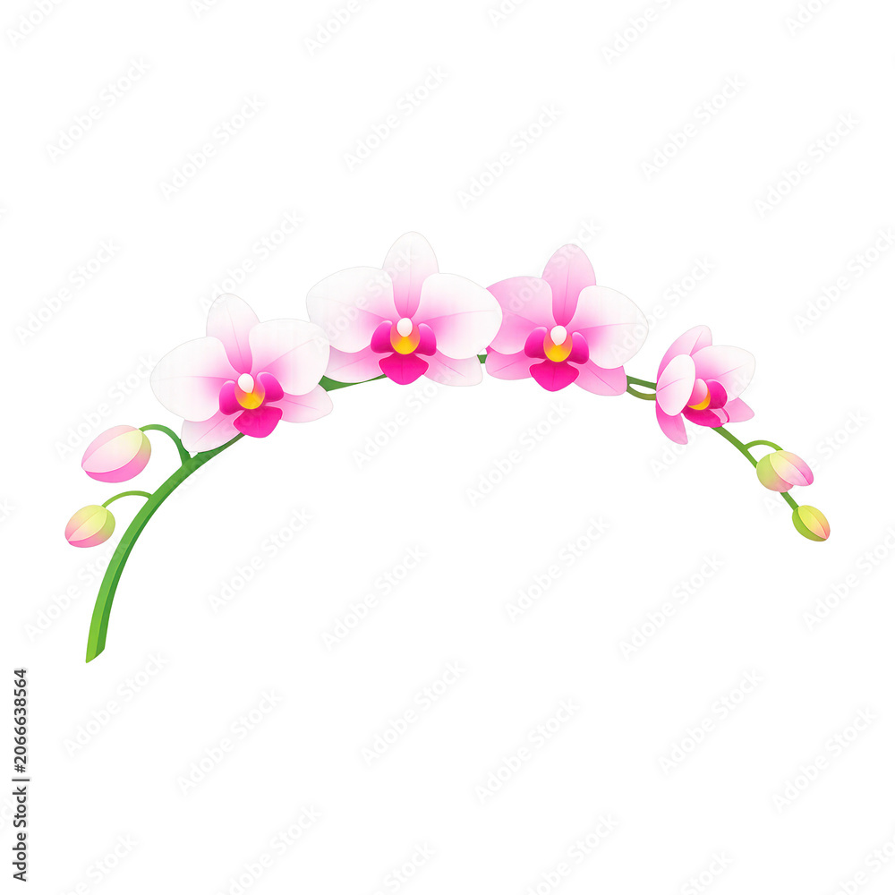 Fototapeta premium PNG Elegant pink orchid illustration.