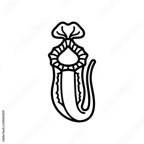 Obraz na płótnie Detailed illustration of an octopus tentacle.