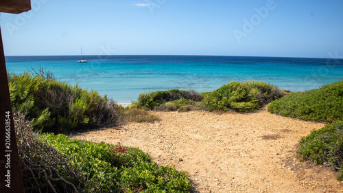 tropical beach with palm trees and sea