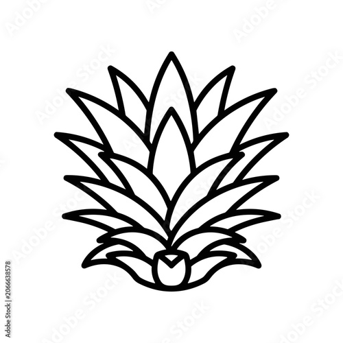 Foto Prickly Pear Cactus Plant Illustration.