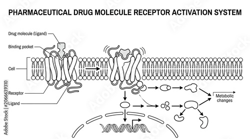 Bild auf Leinwand Detailed pharmaceutical drug molecule receptor activation system chart