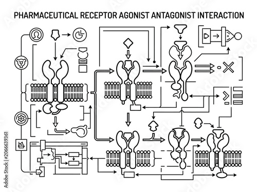 Картината върху платно Pharmaceutical receptor agonist and antagonist interaction technical flowchart