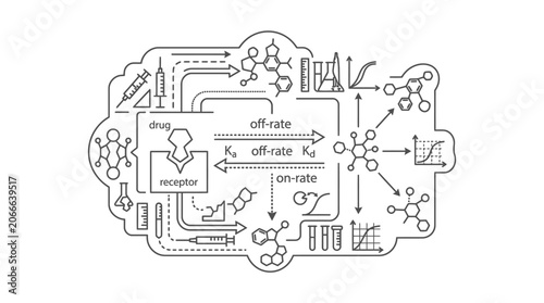 Photos Scientific flowchart of drug receptor binding kinetics.
