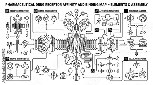Konstfotografi Pharmaceutical drug receptor affinity and binding map assembly diagram