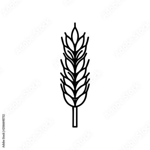 Black line art wheat grain illustration.