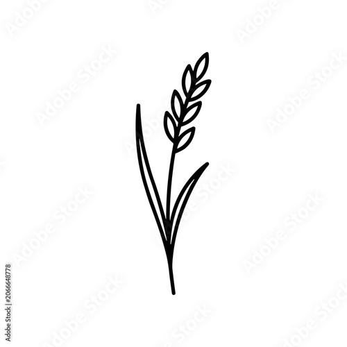 Simple black line drawing wheat.