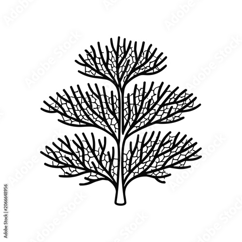 Detailed illustration of a tree branch.