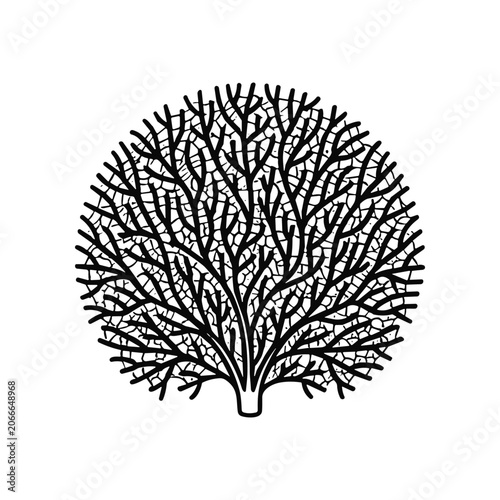 Black Coral Reef Illustration Graphic.