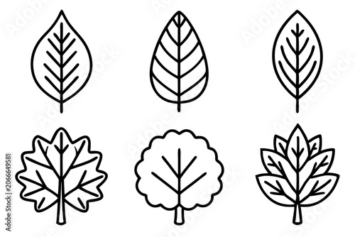 Foto Autumn Tree Outline Design