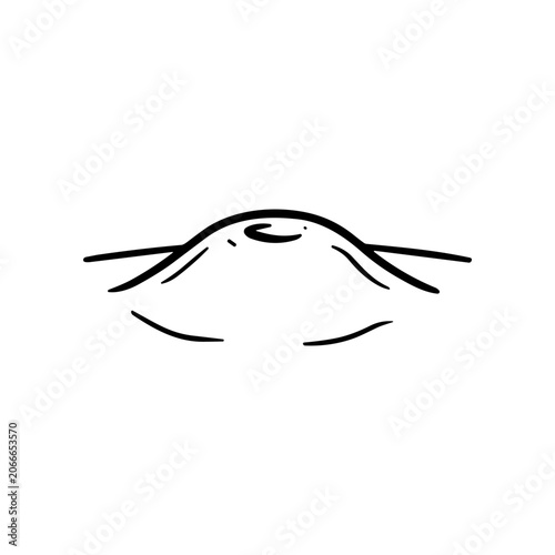 Closed eye with eyelashes and eyebrow.