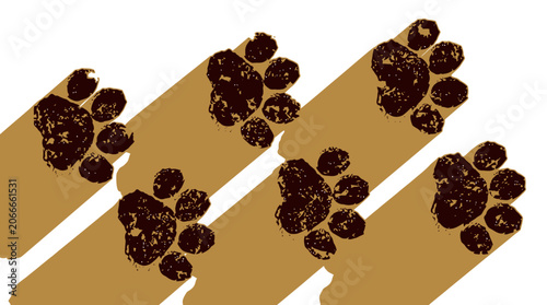 Paw Prints Pattern with Long Shadows on White Background