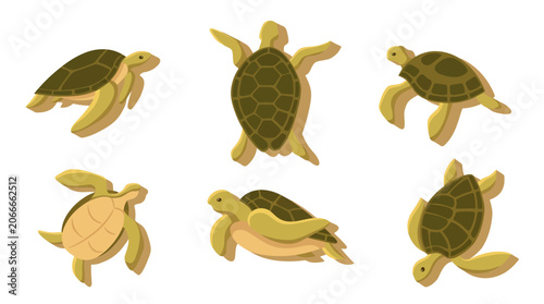 Group of sea turtles swimming together in clear water with natural sunlight