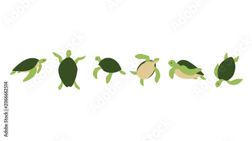 Group of Turtles Swimming in Line