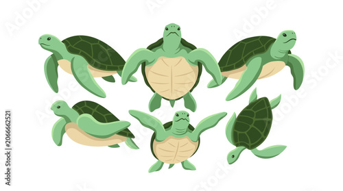 Green Sea Turtles Swimming Together in Ocean Water