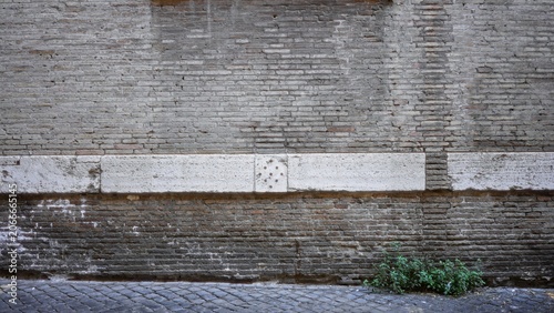 Fotografie Brick wall texture with weathered mortar and a horizontal white stone band above a cobblestone street, small green plant at the base; background backplate copyspace calm
