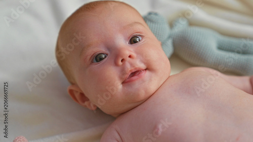 Photos Baby newborn bare chest gazing upward with drool on lip and knitted toy nearby in studio; calm curiosity