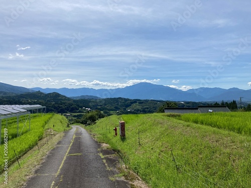 hiking trail in the mountains