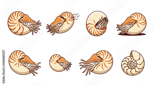 Nautiluses cartoon character icons showing various poses and expressions. Representing deep-sea cephalopod mollusks with spiral shells and numerous tentacles