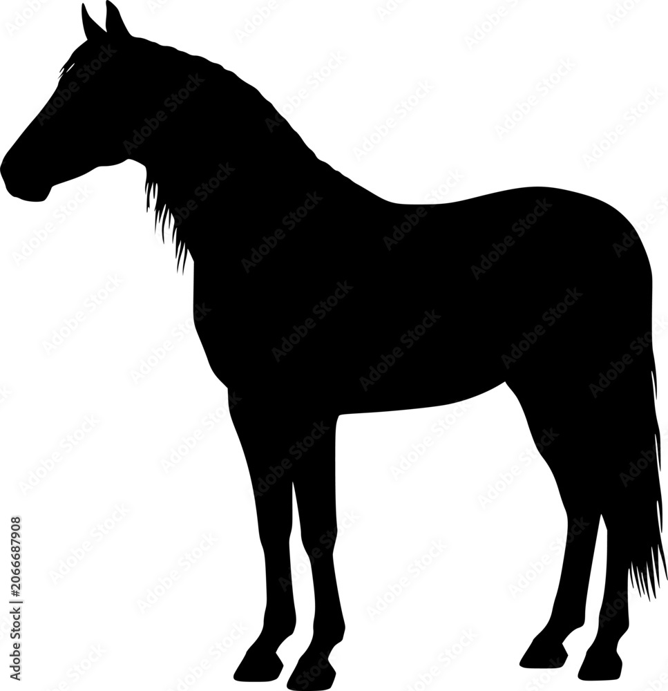 Obraz premium Black horse silhouette vector graphic standing in side view, design for: equestrian sports logos, horse ranch branding emblems, western theme promotional banners. Transparent EPS version.